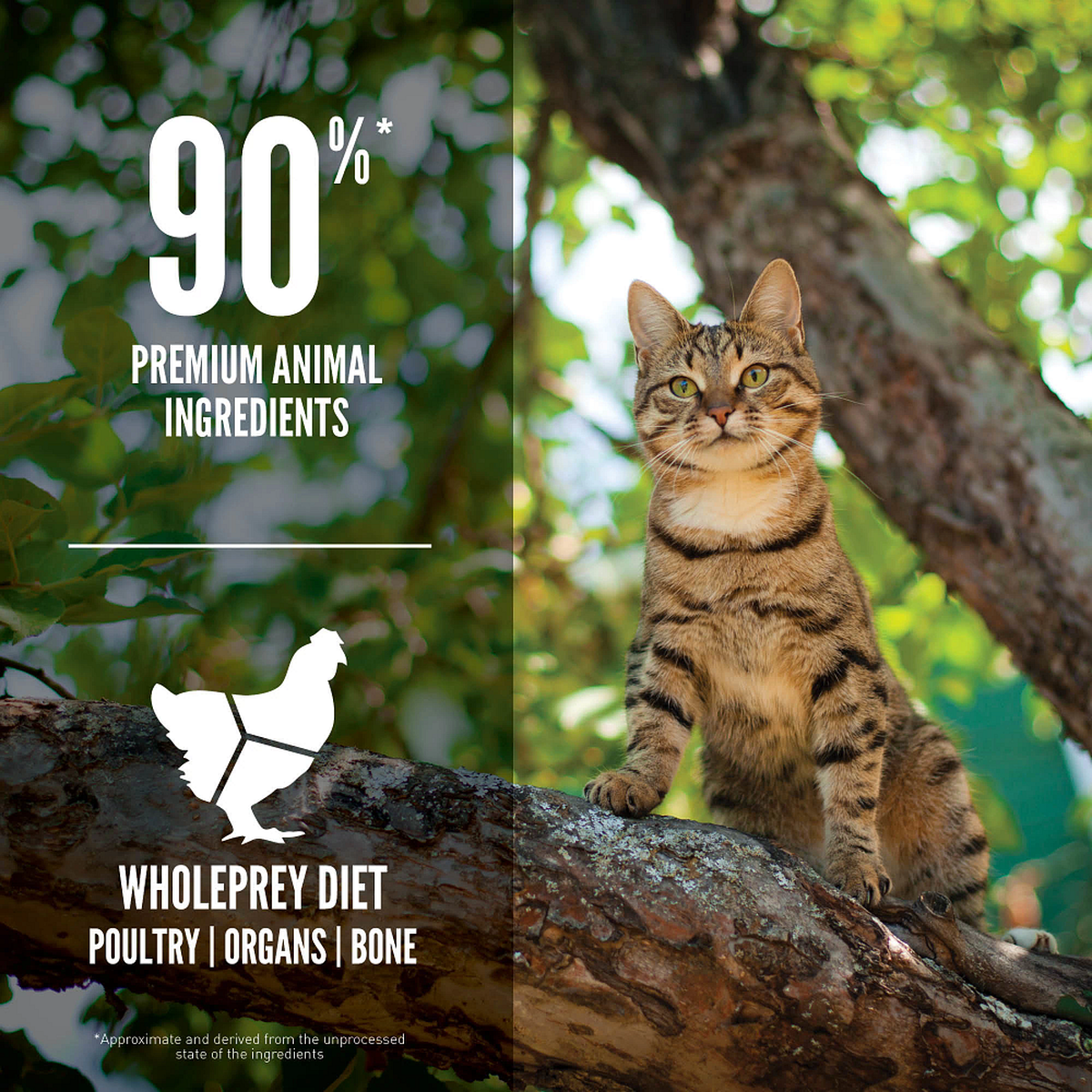 ORIJEN™ Guardian 8™ Cat Food for Heart, Joint, & Brain